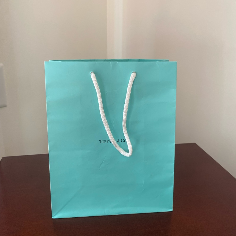 Tiffany &Co gift bag